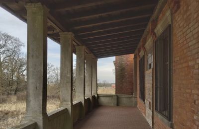 Manor house for sale Bolkowice, Dwór w Bolkowicach, West Pomerania, Terrace