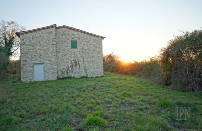 Country property for sale Italy, Image 14/26