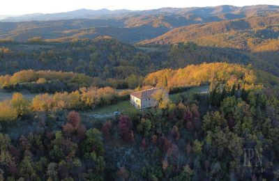 Country property for sale Italy, Image 5/26