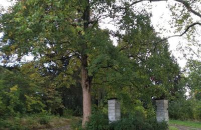 Castle for sale Kostrzyna, Kostrzyna 38, Lower Silesia, Image 12/19