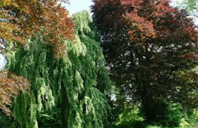 Castle for sale Kostrzyna, Kostrzyna 38, Lower Silesia, Image 16/19