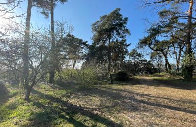 Country property for sale 17375 Leopoldshagen, Mecklenburg-West Pomerania, Blick in die Einfahrt