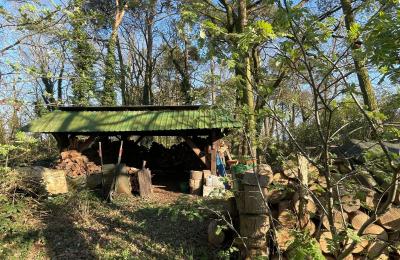 Country property for sale 17375 Leopoldshagen, Mecklenburg-West Pomerania, Brennholzlager