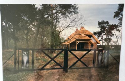 Country property for sale 17375 Leopoldshagen, Mecklenburg-West Pomerania, Image 40/50