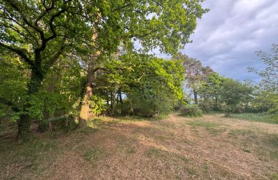 Country property for sale 17375 Leopoldshagen, Mecklenburg-West Pomerania, Gartenblick