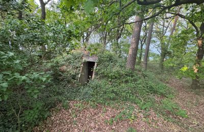 Country property for sale 17375 Leopoldshagen, Mecklenburg-West Pomerania, Erdbunker