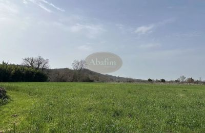 Manor house for sale Sauveterre-de-Béarn, New Aquitaine, Property