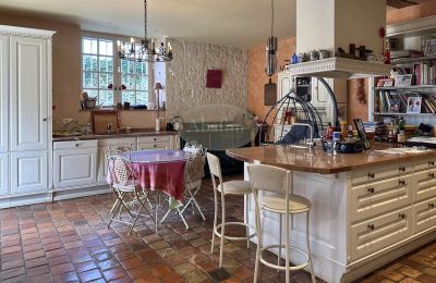 Manor house for sale Sauveterre-de-Béarn, New Aquitaine, Kitchen