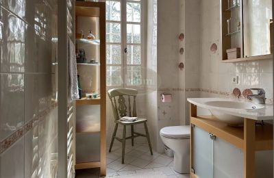 Manor house for sale Sauveterre-de-Béarn, New Aquitaine, Bathroom