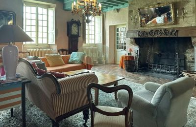 Manor house for sale Sauveterre-de-Béarn, New Aquitaine, Living Area