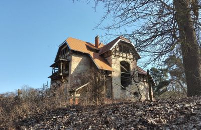 Historic villa for sale Słubice, Lubusz, Image 3/15