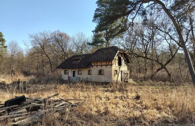 Historic villa for sale Słubice, Lubusz, Image 4/15