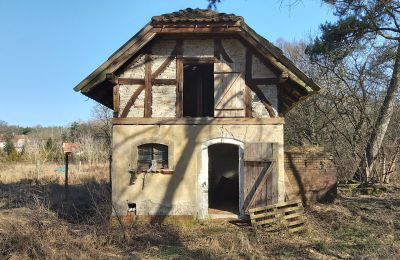 Historic villa for sale Słubice, Lubusz, Image 5/15