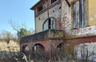 Historic villa for sale Słubice, Lubusz, Image 9/15