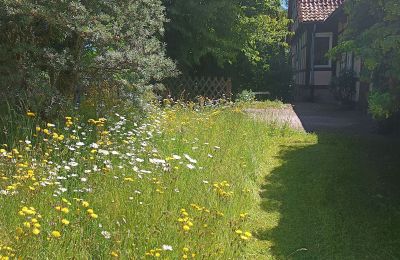 Country property for sale Germany, Image 4/33