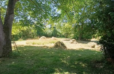 Country property for sale Germany, Image 10/31