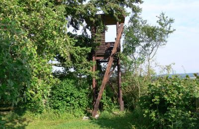 Country property for sale Germany, Image 14/31