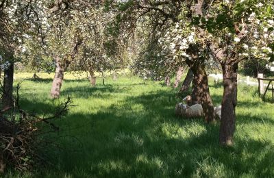 Country property for sale Germany, Image 28/31