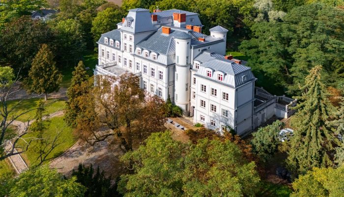 Castle for sale Malina , Łódź Region