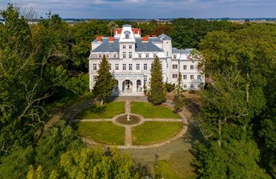 Castle for sale Malina, Pałac Malina, Łódź Region, Image 2/28