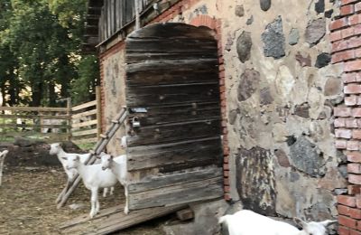 Herregård til salg Vandzene, Kurzeme, Billede 4/7