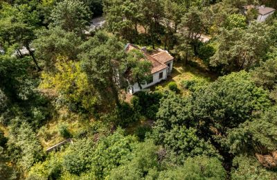 Historic villa for sale Konstancin-Jeziorna, Mazovia, Image 6/9