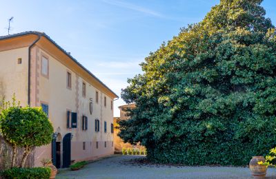 Historic villa for sale Crespina, Tuscany, Image 33/38