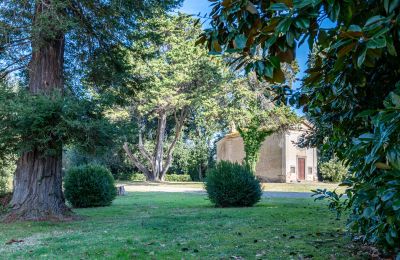 Historic villa for sale Crespina, Tuscany, Image 3/38