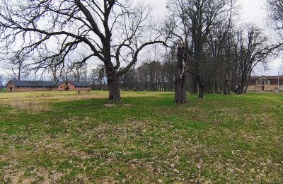Manor house for sale Raszków, Holy Cross Region, Image 2/16