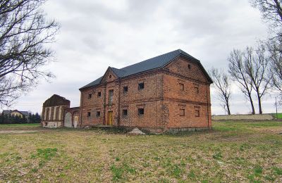 Manor house for sale Raszków, Holy Cross Region, Image 4/16