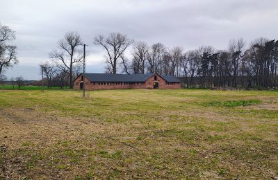 Manor house for sale Raszków, Holy Cross Region, Image 5/16