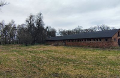 Manor house for sale Raszków, Holy Cross Region, Image 6/16
