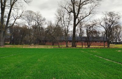 Manor house for sale Raszków, Holy Cross Region, Image 8/16