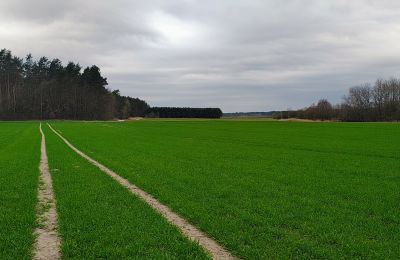Manor house for sale Raszków, Holy Cross Region, Image 7/16