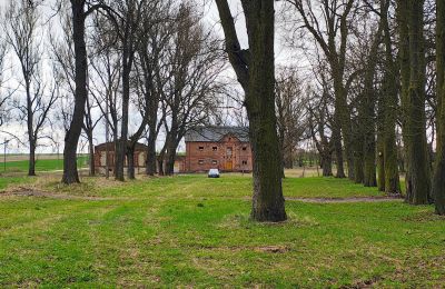 Manor house for sale Raszków, Holy Cross Region, Image 12/16