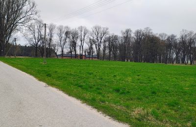 Manor house for sale Raszków, Holy Cross Region, Image 14/16