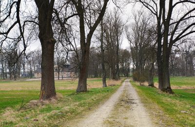 Manor house for sale Raszków, Holy Cross Region, Image 15/16