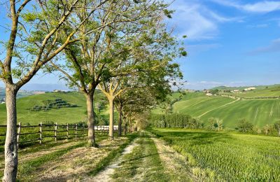 Country property for sale Fermo, Marche, Image 74/81