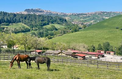 Country property for sale Fermo, Marche, Image 76/81
