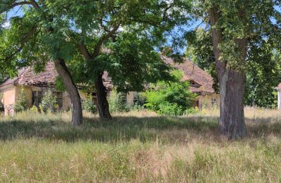 Manor house for sale Lubusz, Image 7/16