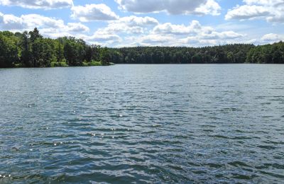 Manor house for sale Lubusz, Image 13/16