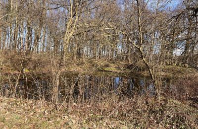 Castle for sale Kępica, Kępica 20 A, West Pomerania, Image 12/13