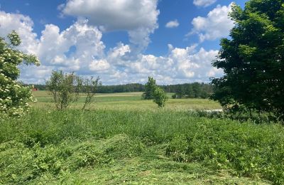 Country property for sale Bądze, Warmia-Masuria, Image 6/8