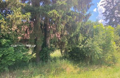 Country property for sale Bądze, Warmia-Masuria, Image 5/8