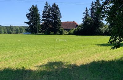 Country property for sale Bądze, Warmia-Masuria, Image 3/8
