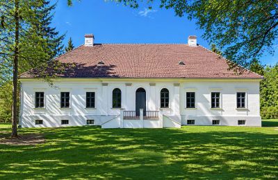 Manor house for sale Tömörd, Fő utca 11, Vas County, Front view