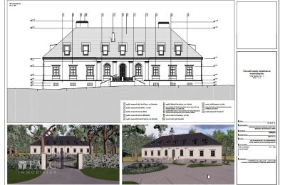 Manor house for sale Tömörd, Fő utca 11, Vas County, Visualization