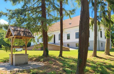 Manor house for sale Tömörd, Fő utca 11, Vas County, Image 5/21