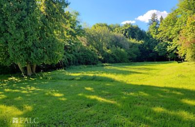 Manor house for sale Tömörd, Fő utca 11, Vas County, Palace Garden