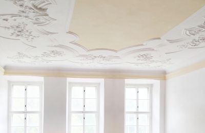 Castle for sale 04603 Nobitz, Thuringia, Image 4/10